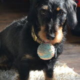 Foto van Pepijn & Otis
