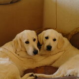 Femke en Roos