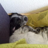 Foto van lisette