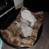 Foto van lisette