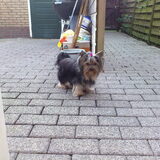 Lieffie!