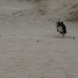 aan zee