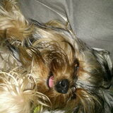 The love of my life! lekker in bed!