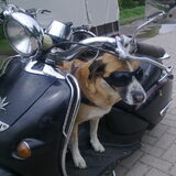 met bril