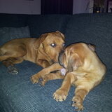 Lekker samen op de bank