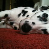 Quinny