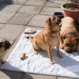 Lekker chilluh in de tuin!!