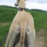 Wat een mooi kontje