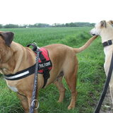 Aan de wandel met grote vriendin Lola