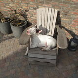 Foto van Hannah & Bink† en Beertje