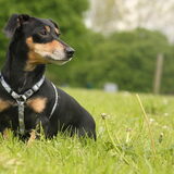 Foto van team Shadow