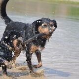 Foto van Pepijn & Otis
