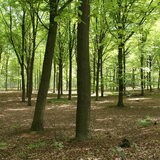 Stambruges 13 mei 2012