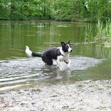 Foto van Tess