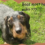 Tekeningen en bewerkingen
