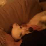 Samen slapen.. Zolang die maar kan knuffelen is het goed! =)