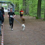 kobus op de canicross breda
