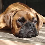knappe jongen!!!!!!