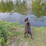Ze is nog wel bang voor water..