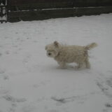 Heerlijk in de sneeuw