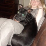Kleine lieverd