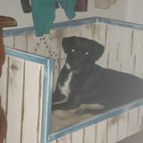 Foto van breezer