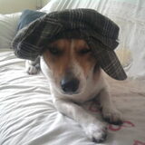 jazz