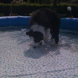 1e keer in het water