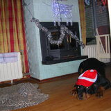 met kerst mee naar Centerparcs...wat een lol