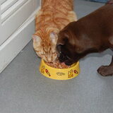 Joep en Eek!, mijn 2 schatjes :o)