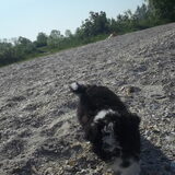 eerste x naar het Ijsselmeer!