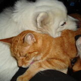 Met z'n alle tukken op mijn schoot