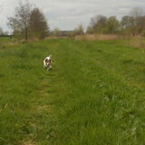Rennen Mike