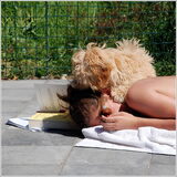 Foto van Xtine