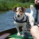 Varen, Nieuwkoopse Plassen.