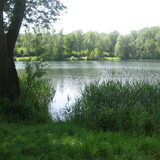Foto van rita