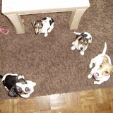 pa ma en kids kijk