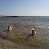 Lemmer Ijsselmeer