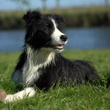 mooierd(L)