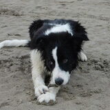 Weer op het strand, 21 weken