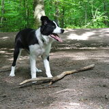 Voor het eerst in het bos, 21 weken