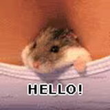 verassing hahahah lekker warm