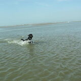 waterratje :-)