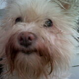 ladyke(L)