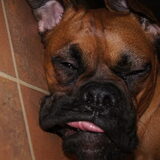 precie iets te ver gewandeld haha;)