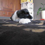 Lieve Luuun!
