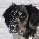 Foto van Lunaaa!