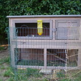 Foto van Muis,Vera, Papadopoulos, Odette, Annabelle en Ciska (Terra+, Dinky+, Saltarin+, Sam+, Zara+, Paco+)