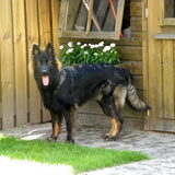 Foto van Mireillevdw