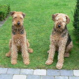 Sarah links broer Gijs rechts